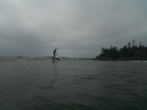 sup surfing tofino