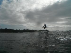sup surfing tofino